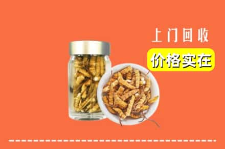 收购资讯:北京市丰台回收散虫草