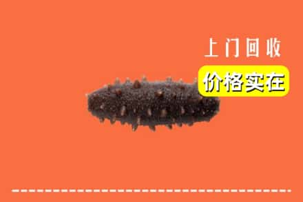 收购资讯:北京市丰台回收海参