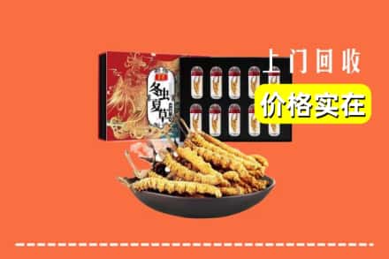 北京市丰台回收虫草